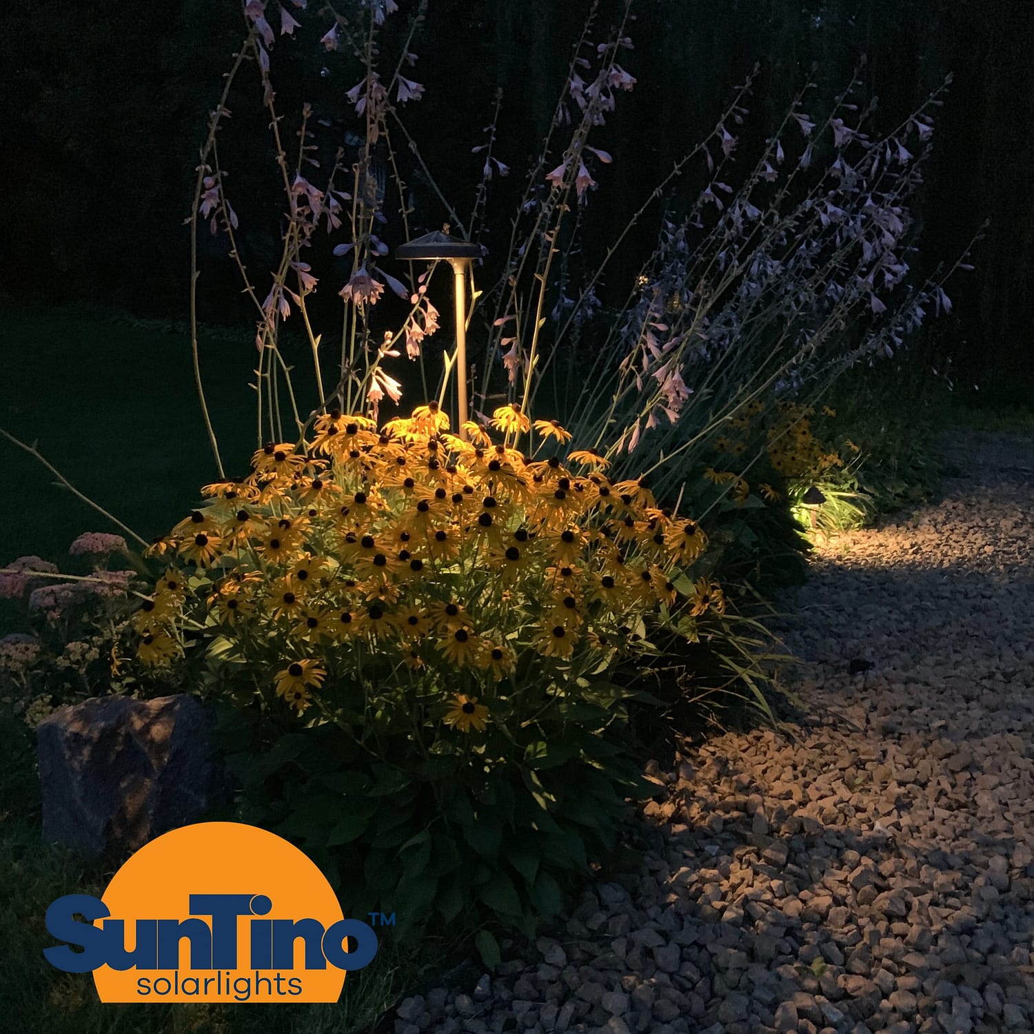 GARDEN BZT NIGHT